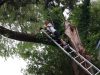 cutting-above