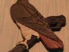 red-tail-falcon
