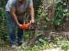 trunk-chopping