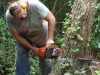 susan039s-willowtrunksawing31